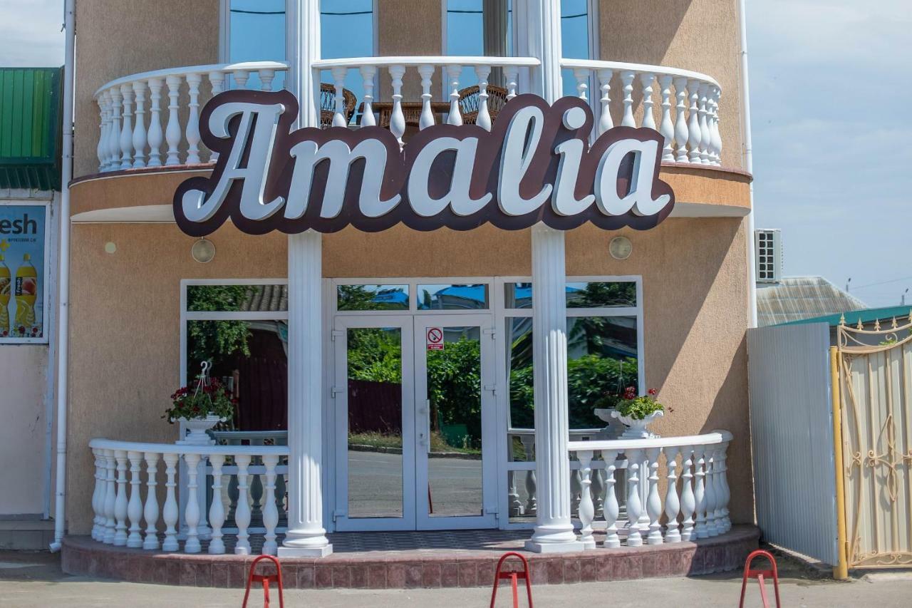 Amalia Hotel Zaliznyy Port Exterior photo